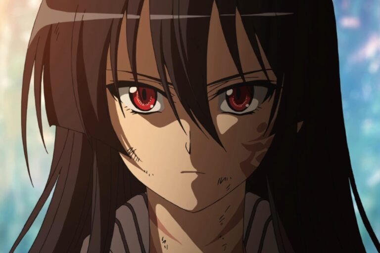 Akame from the anime Akame ga Kill.